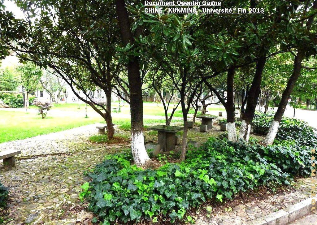 034-Quentin - Kunming .JPG